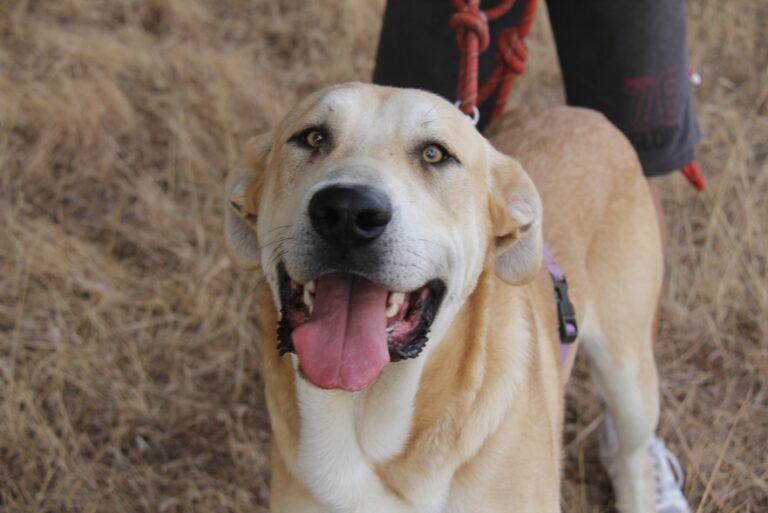 multimedia-foto54606-755-1