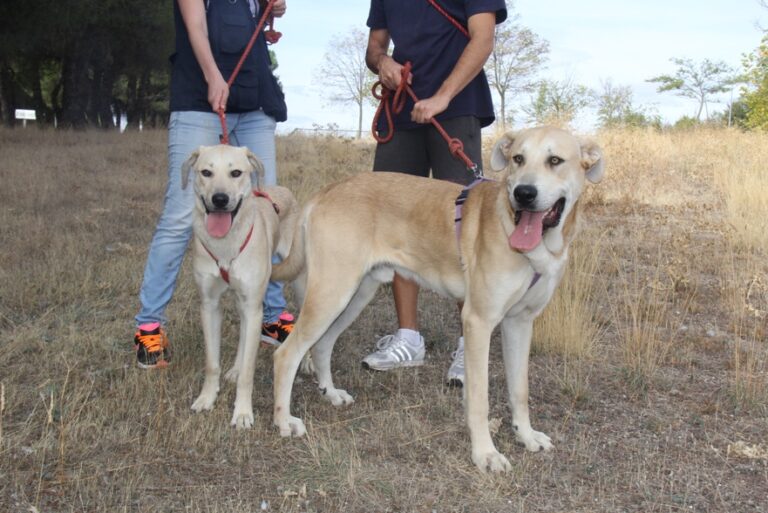 multimedia-foto54607-755-1