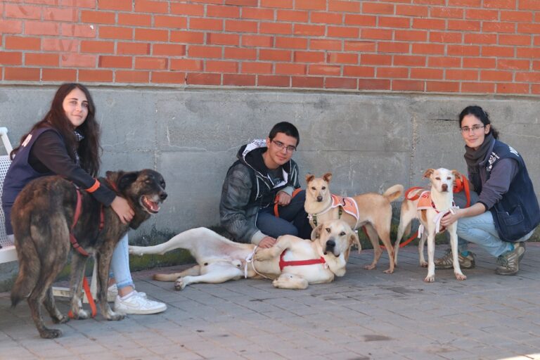 multimedia-foto54608-755-1