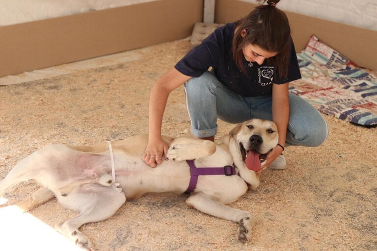 multimedia-foto54610-755-1