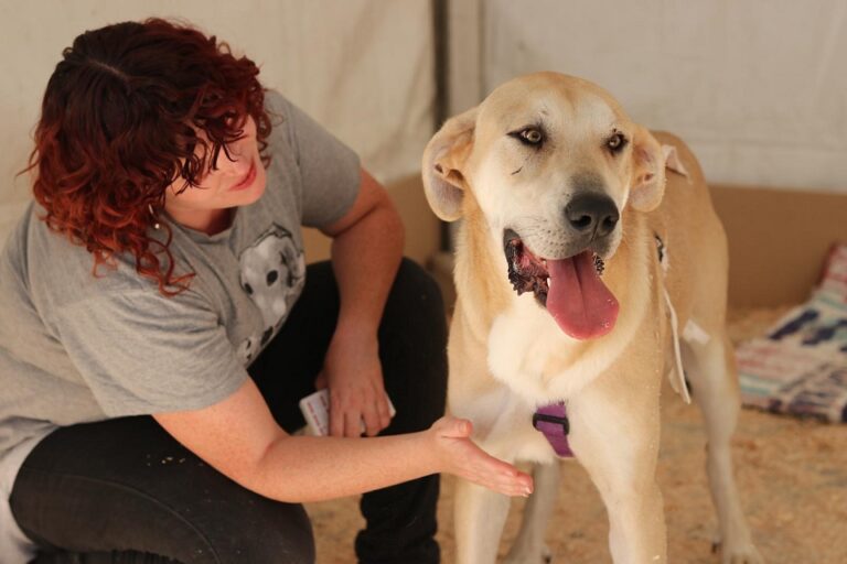 multimedia-foto54611-756-1