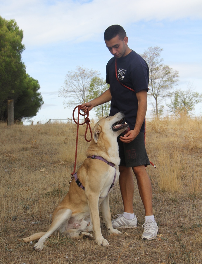 multimedia-foto54614-756-1