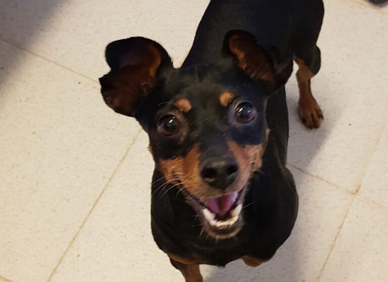 multimedia-foto54615-893-1