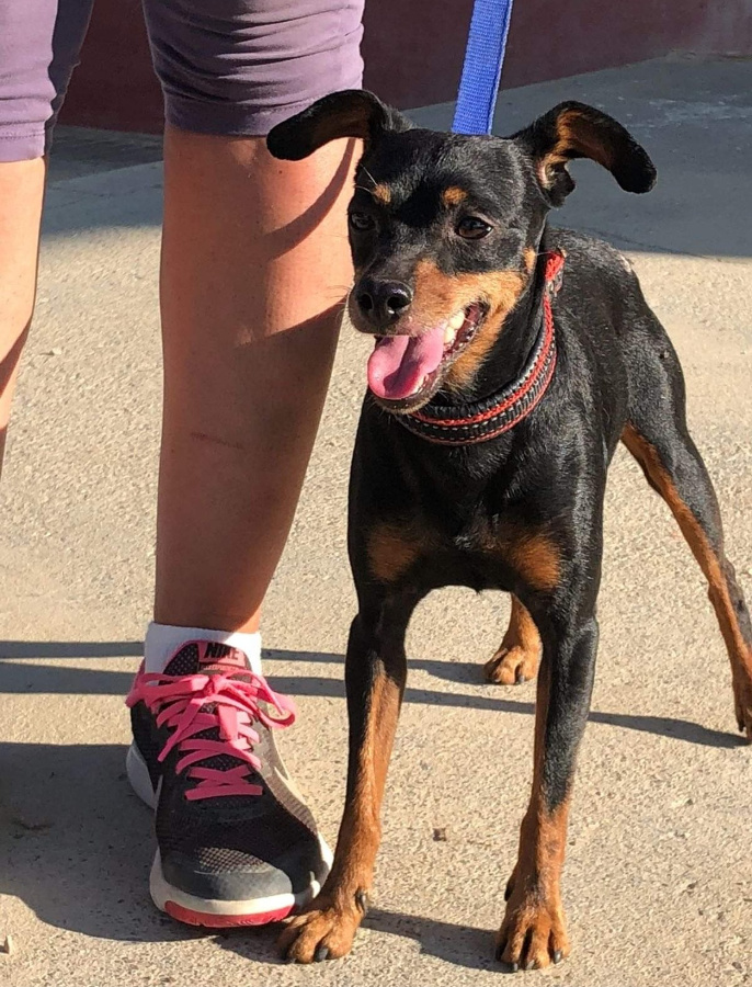 multimedia-foto54616-894-1