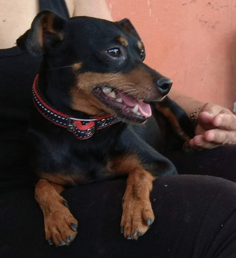 multimedia-foto54617-894-1