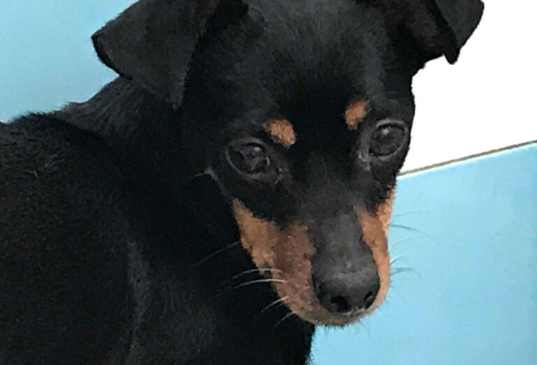 multimedia-foto54620-894-1