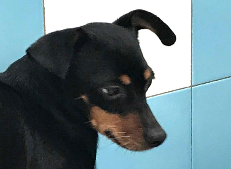 multimedia-foto54621-895-1