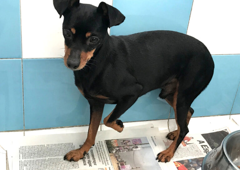 multimedia-foto54622-895-1