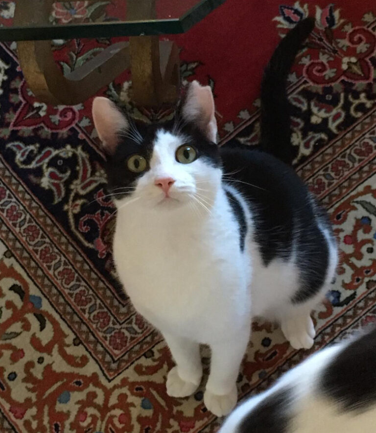 multimedia-foto54635-874-1