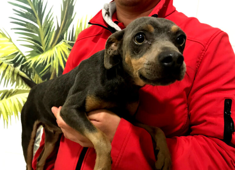 multimedia-foto54638-375-1