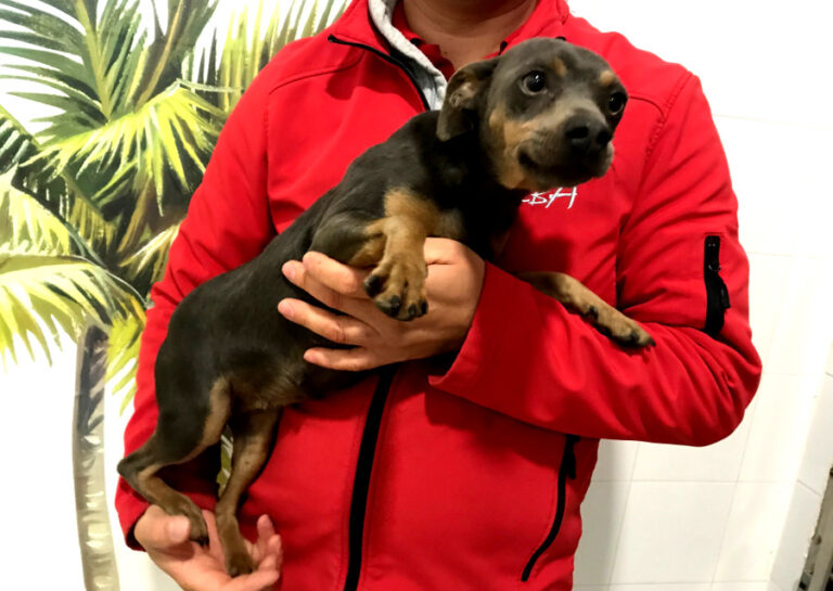 multimedia-foto54639-375-1