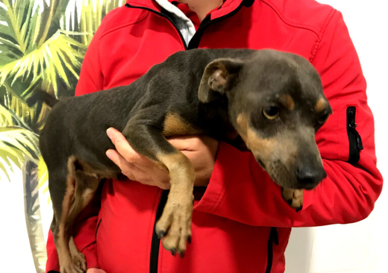 multimedia-foto54640-375-1