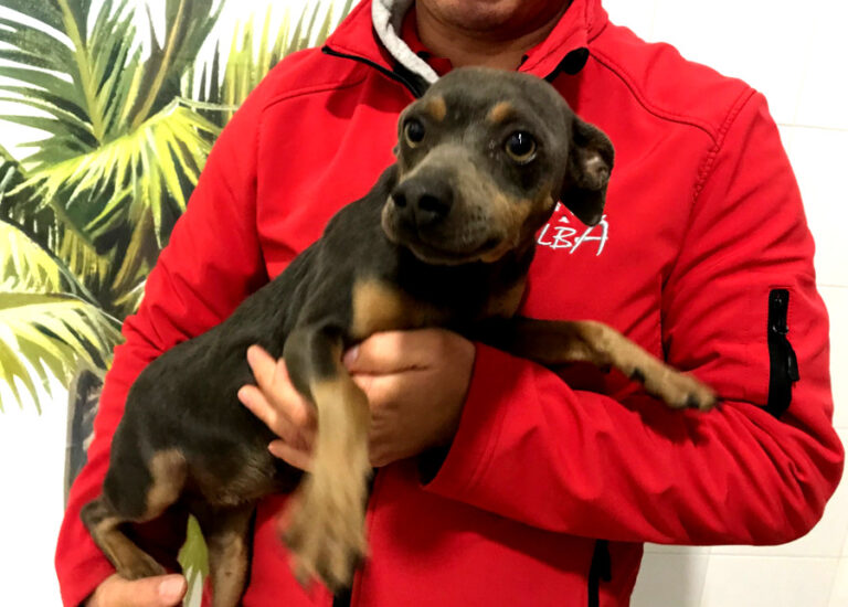 multimedia-foto54641-376-1