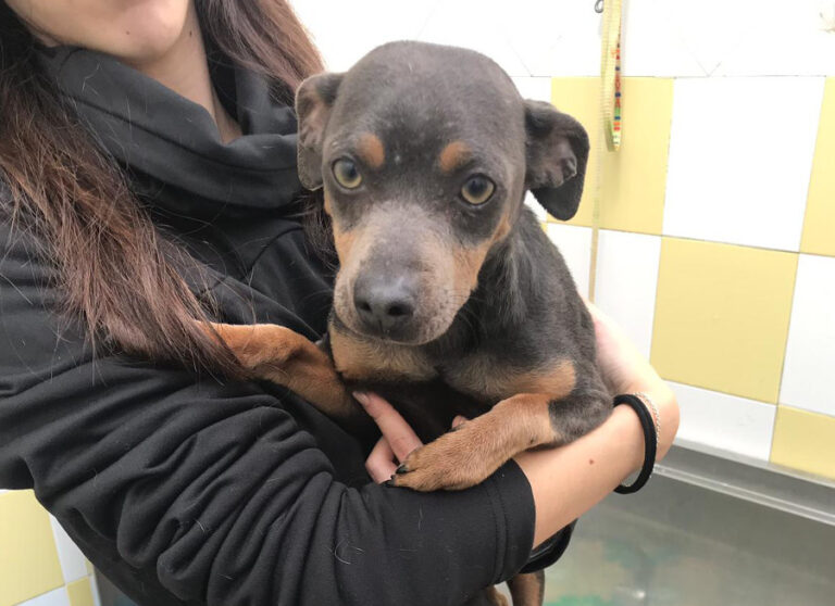 multimedia-foto54642-376-1