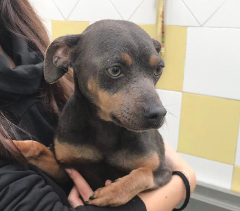 multimedia-foto54643-376-1