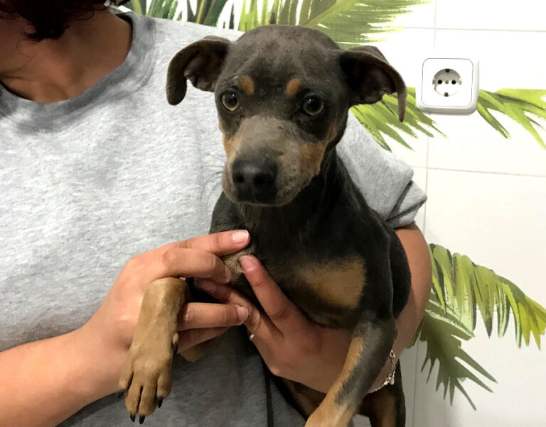 multimedia-foto54644-376-1