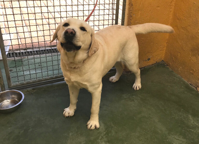 multimedia-foto54645-610-1