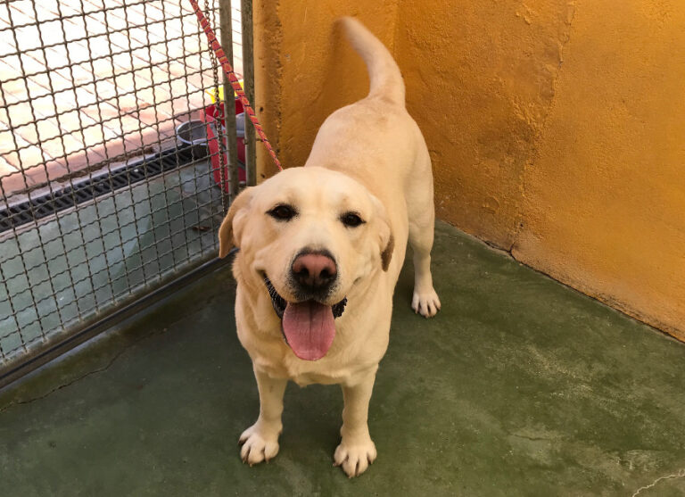 multimedia-foto54646-610-1