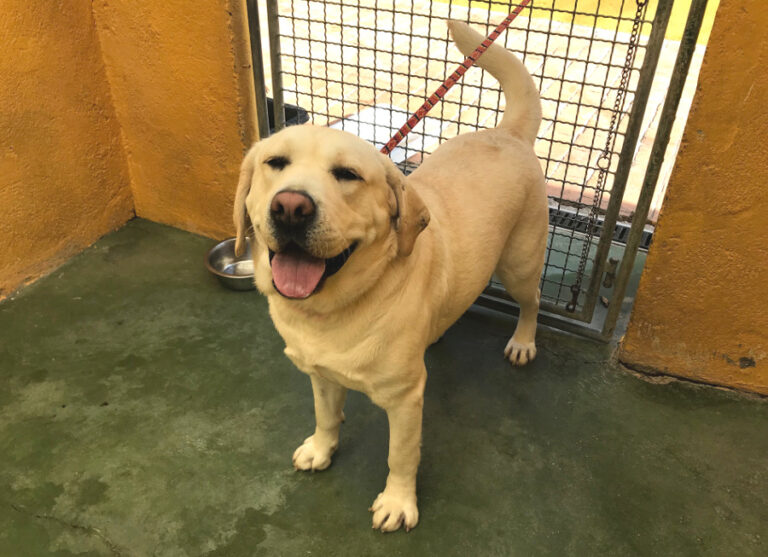 multimedia-foto54647-611-1