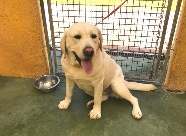 multimedia-foto54648-611-1