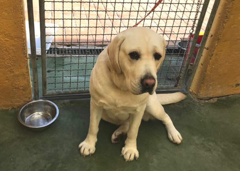 multimedia-foto54649-611-1