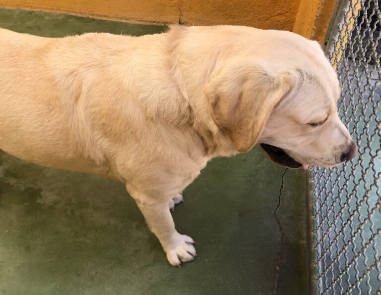 multimedia-foto54650-611-1