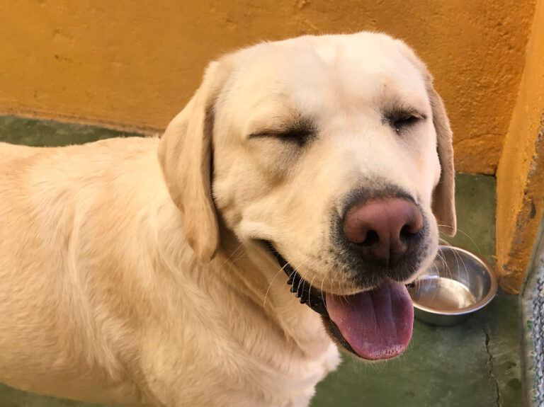 multimedia-foto54651-611-1