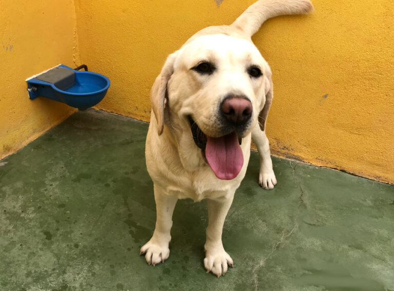 multimedia-foto54652-612-1