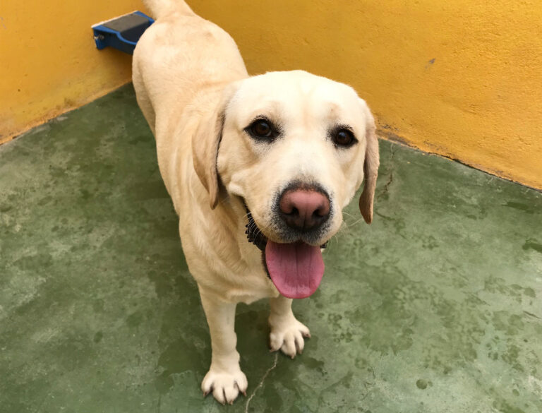 multimedia-foto54653-612-1