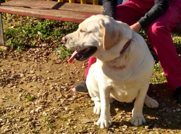 multimedia-foto54654-612-1