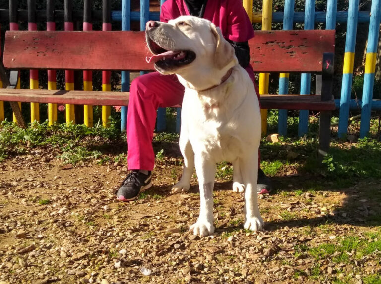 multimedia-foto54655-612-1