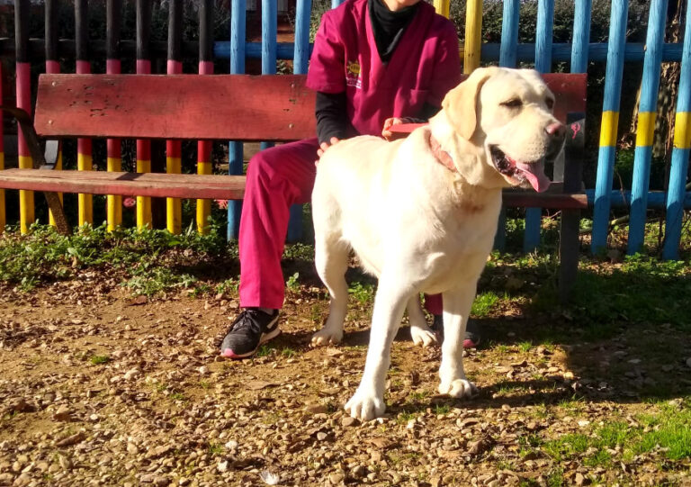 multimedia-foto54656-612-1