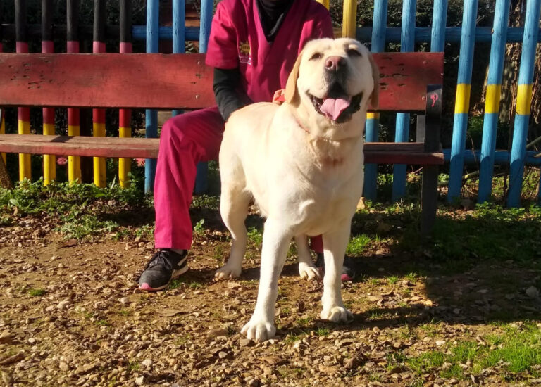 multimedia-foto54657-613-1