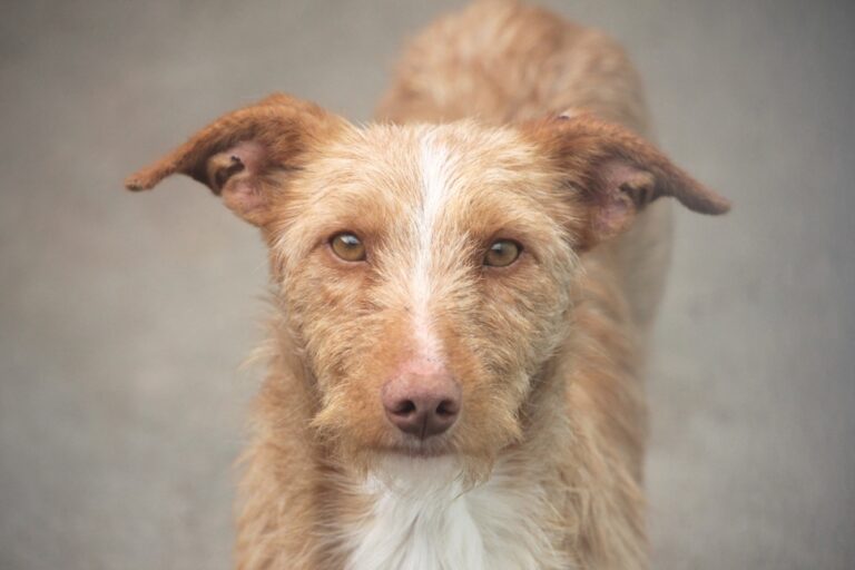 multimedia-foto54661-289-1