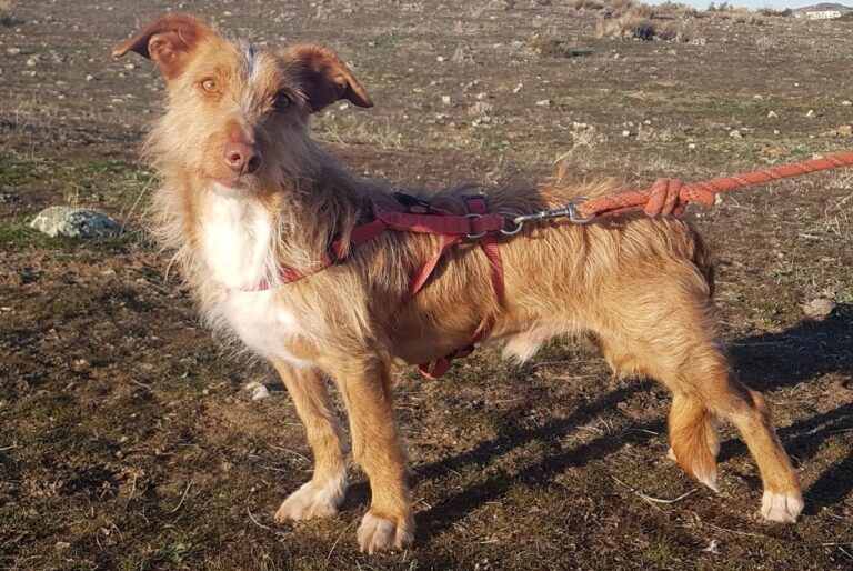 multimedia-foto54662-290-1