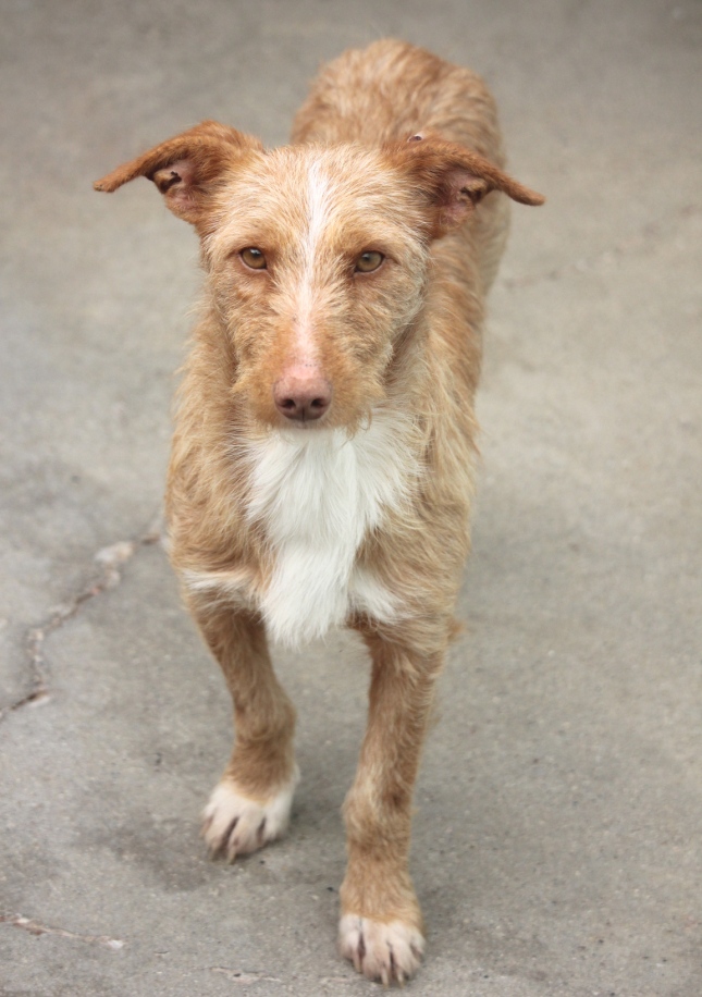 multimedia-foto54663-290-1