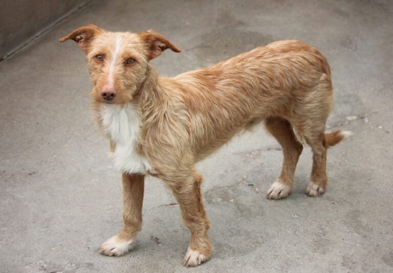 multimedia-foto54664-290-1