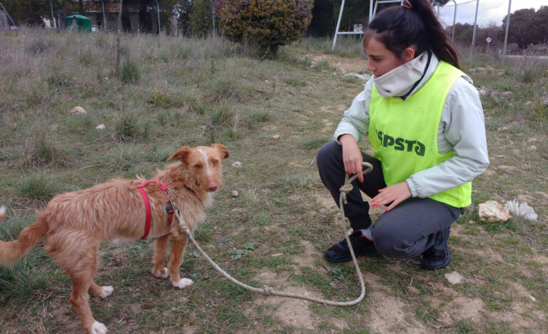 multimedia-foto54665-290-1