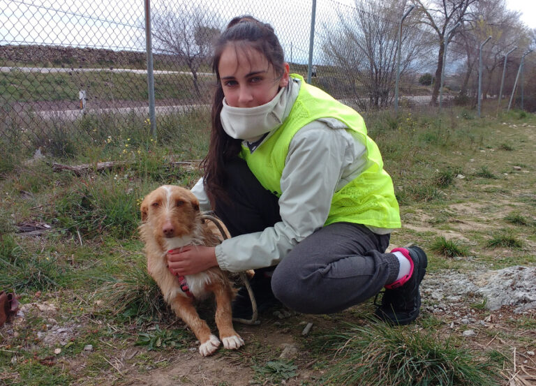 multimedia-foto54666-290-1