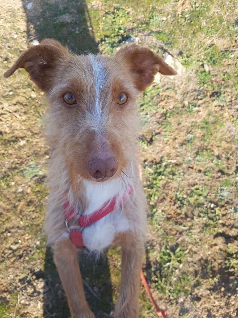 multimedia-foto54667-291-1