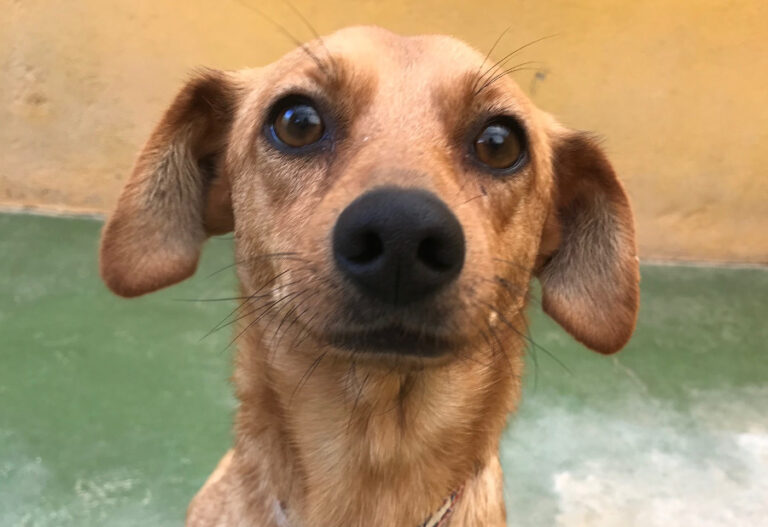 multimedia-foto54669-423-1