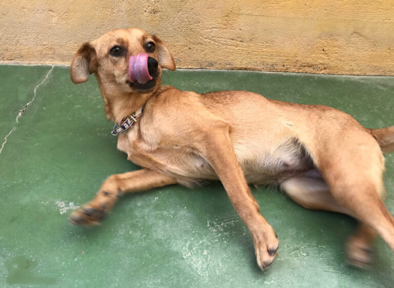 multimedia-foto54670-423-1