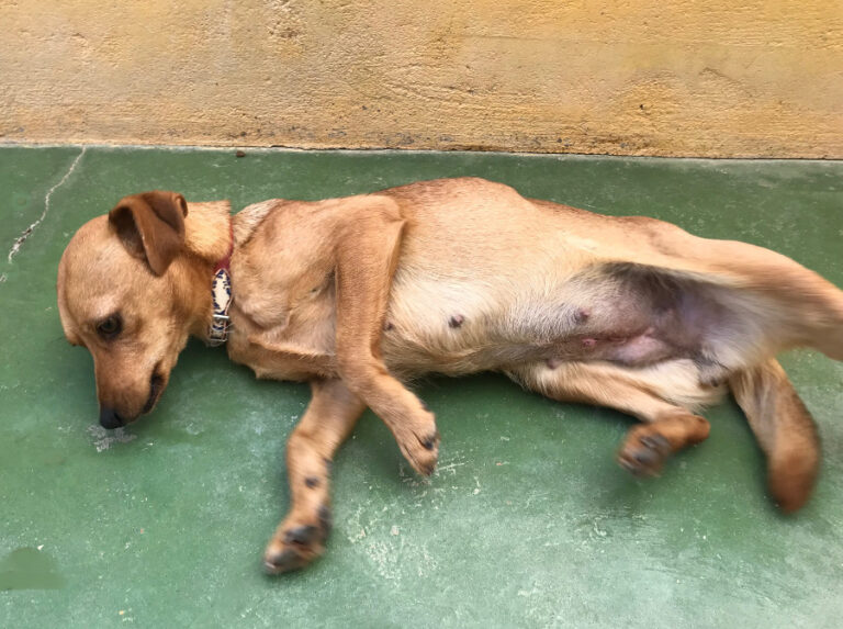 multimedia-foto54671-423-1