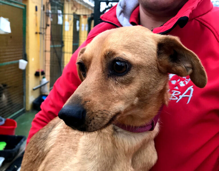 multimedia-foto54672-423-1