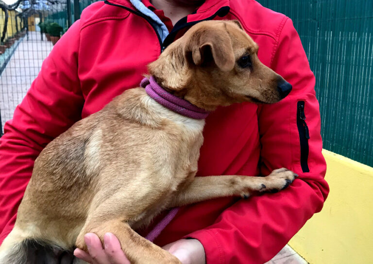 multimedia-foto54673-424-1