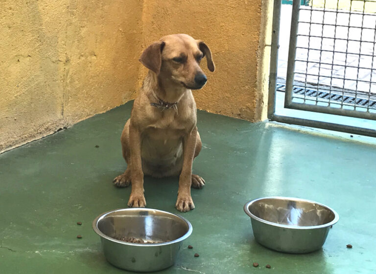 multimedia-foto54674-424-1