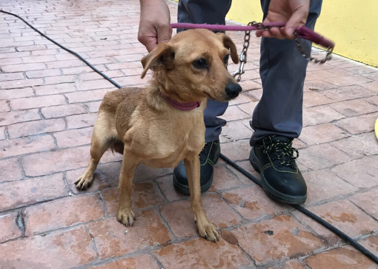 multimedia-foto54675-424-1