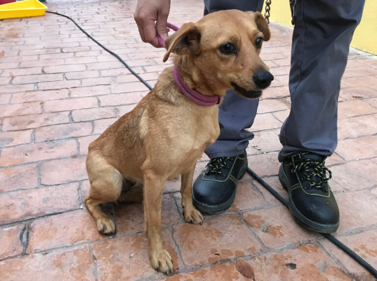 multimedia-foto54676-424-1