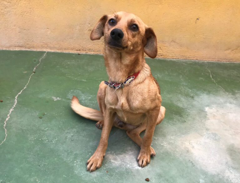 multimedia-foto54677-493-1