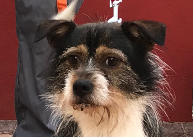 multimedia-foto54700-546-1